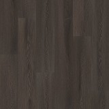 Philosophers Tree
Burnished Timber